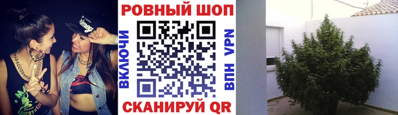 Наркошоп купить МАРИХУАНА  ЭКСТАЗИ  КОКАИН  Alpha PVP  ГАШ  Меф  Бодайбо
