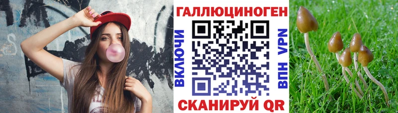 Псилоцибиновые грибы MAGIC MUSHROOMS  Купить где  Бодайбо 