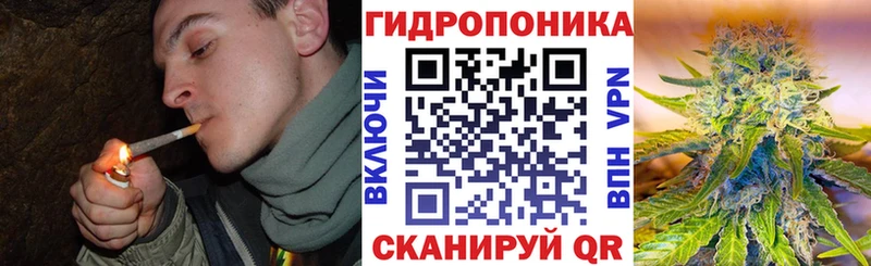 Канабис MAZAR  Купить где  Бодайбо 